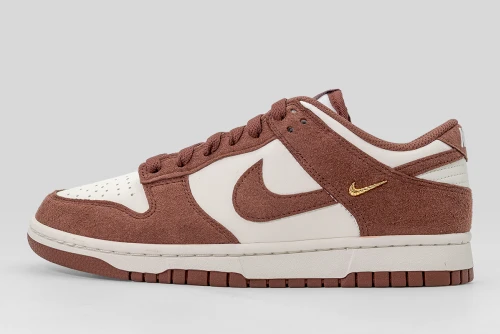 Nike Dunk Low Sneakers (IB4417 104)