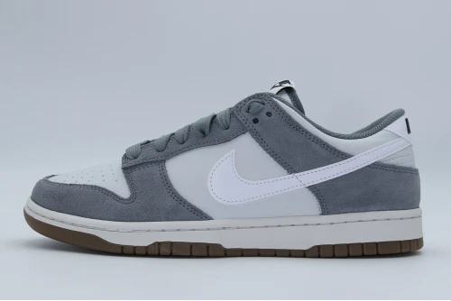 Nike Dunk Low Retro Se Sneakers (IB6399 001)