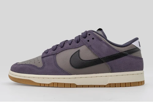 Nike Dunk Low Retro Se Sneakers (IB6399 201)