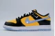 Nike Dunk Low Retro Special Edition Unisex Sneakers