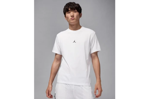 Jordan Sport Dri-Fit Jumpman T-Shirt Ανδρικό (IB6757 100)