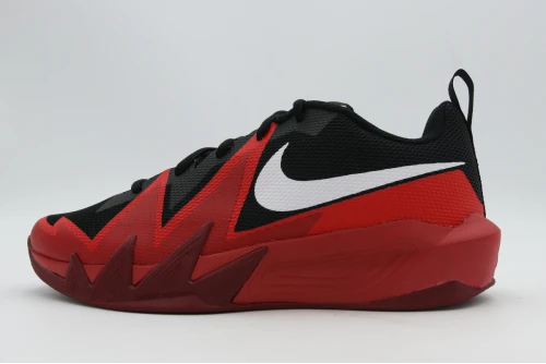 Nike S.t. Dynamite Παπούτσια Για Μπάσκετ (IH2308 004)