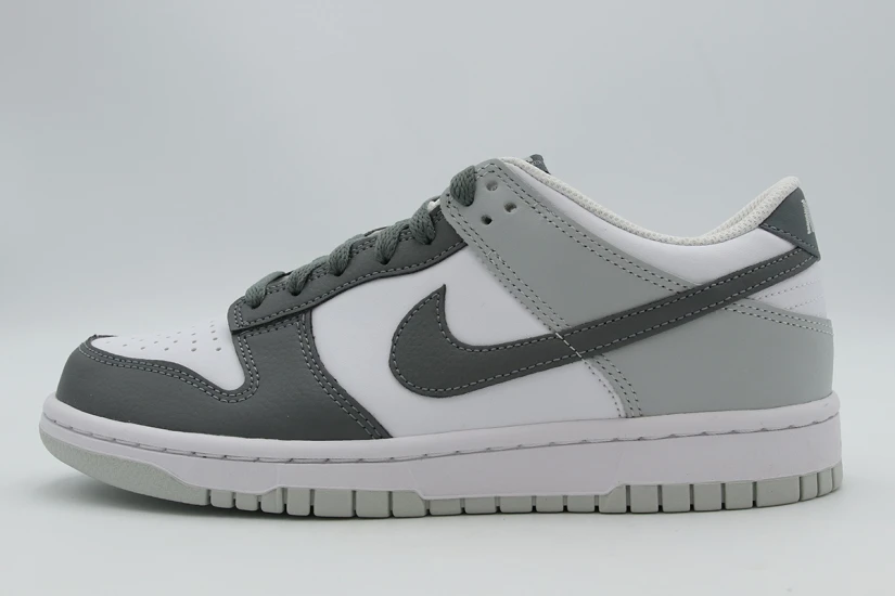 Nike Dunk Low Sneakers (IQ0804 102)