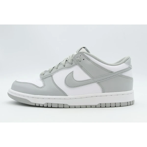 Nike Dunk Low Sneakers (IU7766 123)