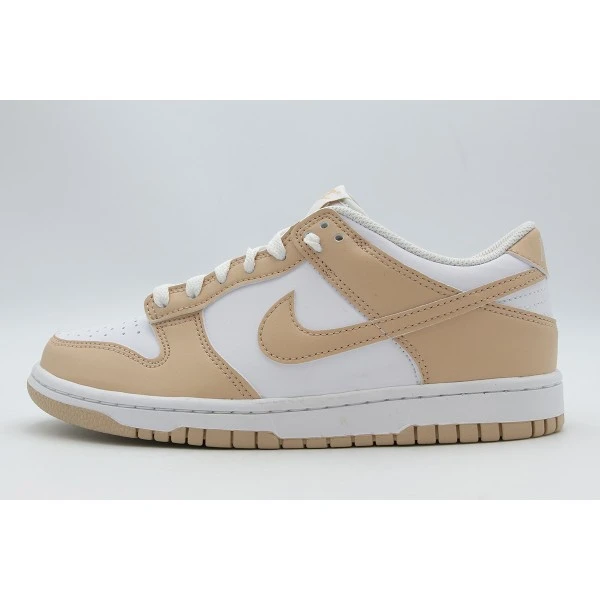 Nike Dunk Low Sneakers (IU7766 134)