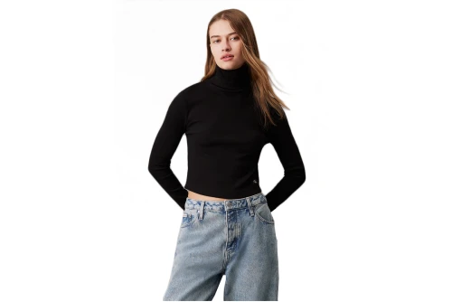 Calvin Klein Slim Ribbed Cotton Roll  Μπλούζα Με Ψηλό Λαιμό Γυναικεία (J20J224196 BEH)