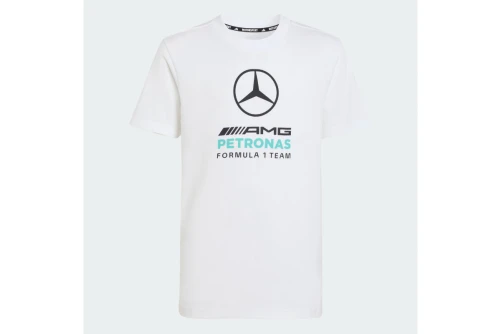 Adidas Performance Mercedes - Amg Petronas F1 Dna Graphic T-Shirt (KQ8082)