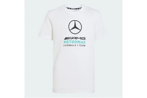 Adidas Performance Mercedes - Amg Petronas F1 Dna Graphic T-Shirt (KQ8082)