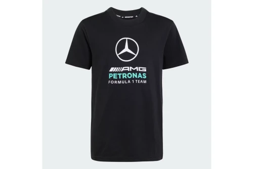 Adidas Performance Mercedes - Amg Petronas F1 Dna T-Shirt (KQ8083)