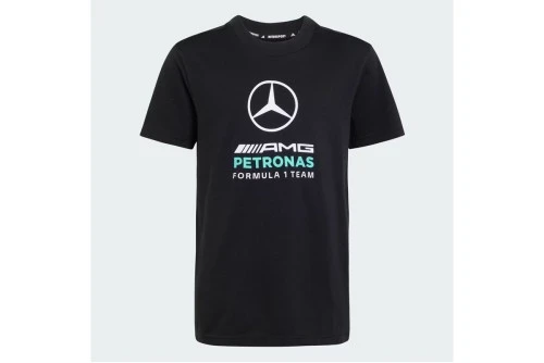 Adidas Performance Mercedes - Amg Petronas F1 Dna T-Shirt (KQ8083)