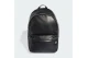 Adidas Originals Backpack 24L (KS4133)