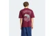 Adidas Originals X The Simpsons Snowball Graphic Ανδρικό Κοντομάνικο T-Shirt Μπορντό, Διάφορα Χρώματα
