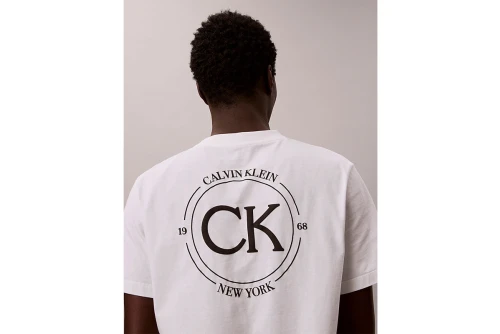 Calvin Klein Embroidered Logo T-Shirt Ανδρικό (LV04RE825G YAF)