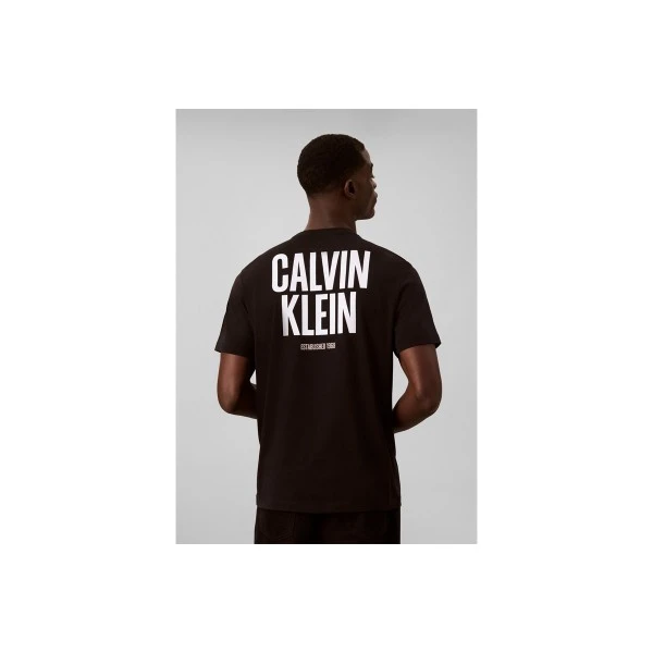 Calvin Klein Logo Graphic T-Shirt Ανδρικό (LV04RH816G UB1)
