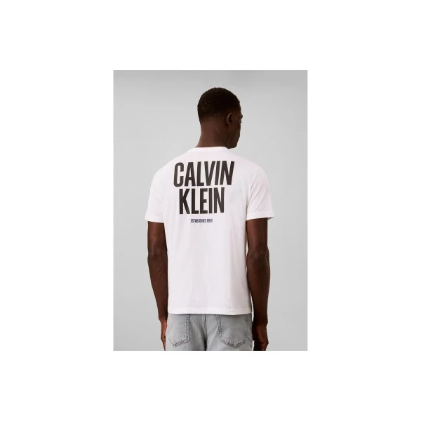 Calvin Klein Logo Graphic T-Shirt Ανδρικό (LV04RH816G YAF)