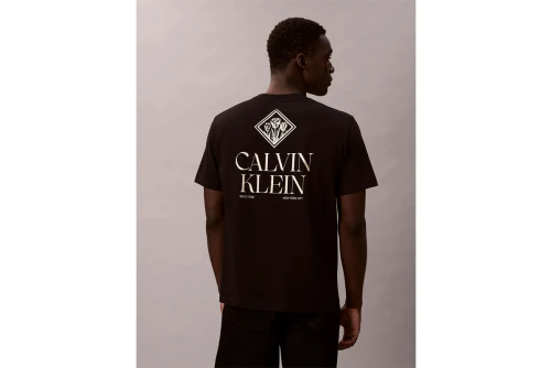 Calvin Klein Logo Roses Graphic Classic T-Shirt Ανδρικό (LV14RE801G UB1)
