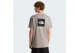 The North Face Evolution NSE Box Regular Ανδρικό Κοντομάνικο T-Shirt Γκρι