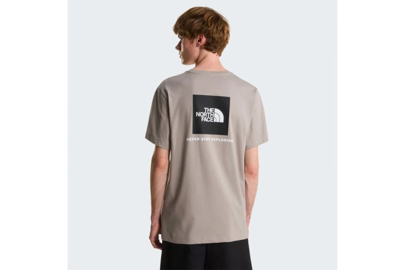 The North Face Evolution NSE Box Regular Ανδρικό Κοντομάνικο T-Shirt Γκρι