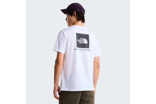 The North Face Evolution Nse Box Regular T-Shirt Ανδρικό (NF0A8B6KFN41)
