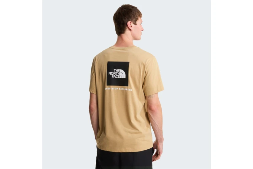 The North Face Evolution NSE Box Regular Ανδρικό Κοντομάνικο T-Shirt Μπεζ
