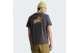 The North Face Snack Relaxed Graphic Ανδρικό Κοντομάνικο T-Shirt Ανθρακί
