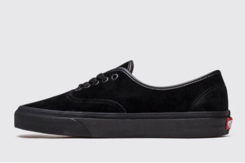 Vans Authentic Sneakers (VN0A2Z5I18L1)