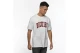 Dickies Philomont T-Shirt Ανδρικό (06-210607-WHITE)