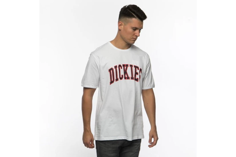 Dickies Philomont T-Shirt Ανδρικό (06-210607-WHITE)