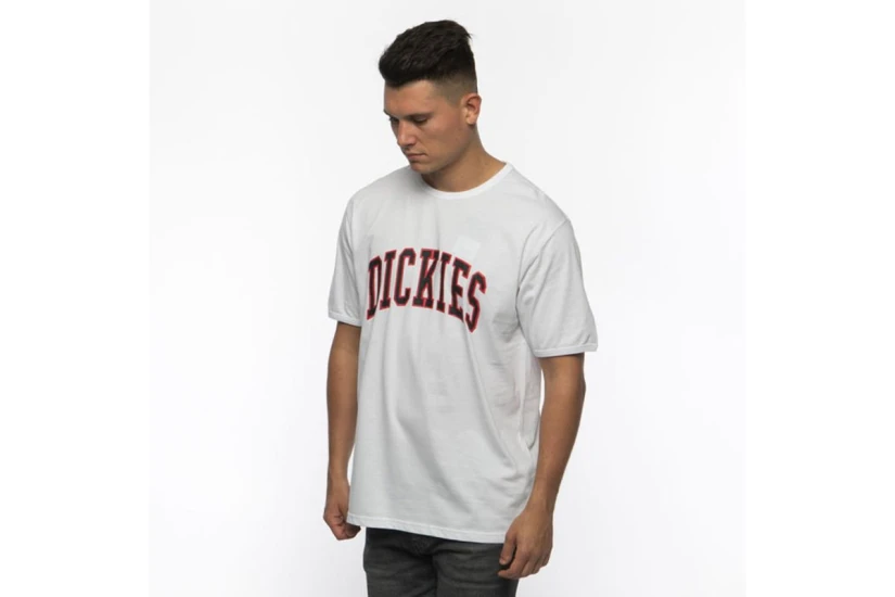 Dickies Philomont T-Shirt Ανδρικό (06-210607-WHITE)