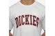 Dickies Philomont T-Shirt Ανδρικό (06-210607-WHITE)