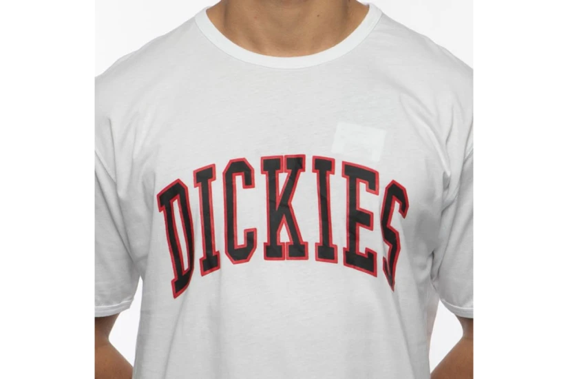 Dickies Philomont T-Shirt Ανδρικό (06-210607-WHITE)