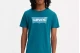 Levi's Graphic Crewneck Tee Ανδρικό Κοντομάνικο T-Shirt Πετρόλ