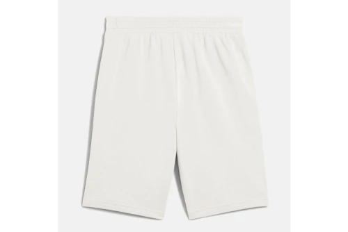 Puma Essentials 2 Color No.1 Logo Βερμούδα Αθλητική Ανδρική (684715 52)
