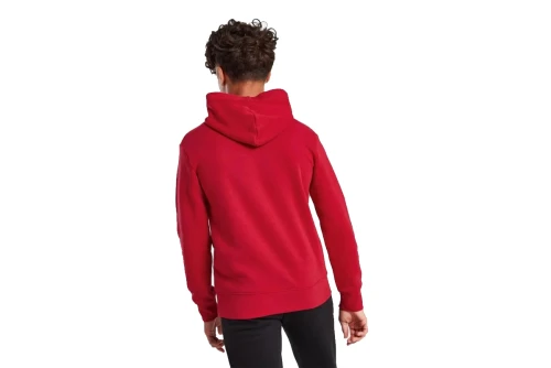 Jordan Fleece Hoodie (95C479 R78)
