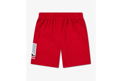 Jordan Brooklyn Baseline Mesh Βερμούδα Αθλητική (95F475 R78)