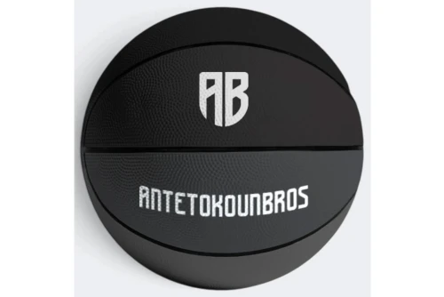 Antetokounbros Shades Size 7 Μπάλα Μπάσκετ (ACXF162030 013)
