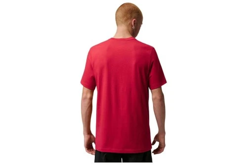 Jordan Jumpman Flight T-Shirt Ανδρικό (AO0664 687)