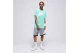 Nike Ανδρικό Κοντομάνικο T-Shirt Τυρκουάζ  (AR5004 369)