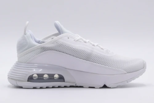 Nike Air Max 2090 Gs (CJ4066 102)