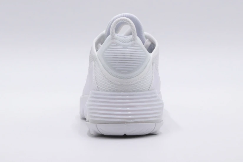 Nike Air Max 2090 Gs (CJ4066 102)
