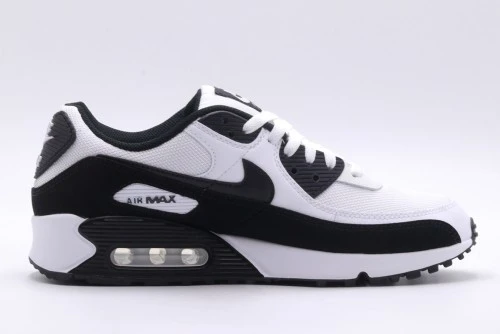 Nike Air Max 90 Sneakers (CN8490 101)