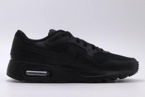 Nike Air Max Sc Sneakers (CW4555 003)