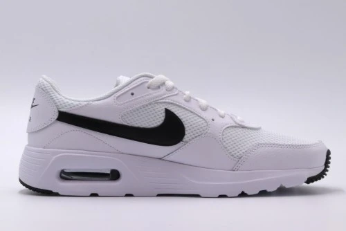 Nike Air Max Sc Sneakers (CW4555 102)