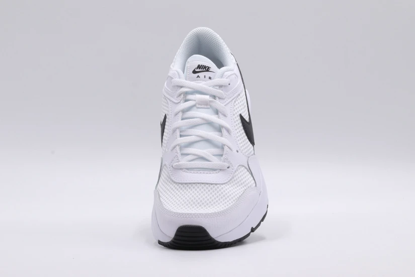 Nike Air Max Sc Gs Sneakers (CZ5358 102)