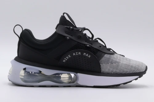 Nike Wmns Air Max 2021 Sneakers (DA1923 001)