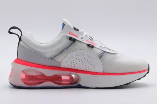 Nike Air Max 2021 Gs (DA3199 101)