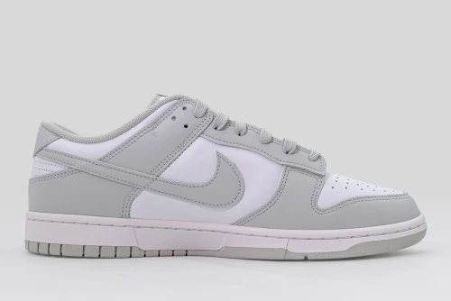Nike Dunk Low Retro Sneakers (DD1391 103)