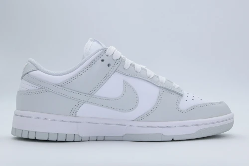 Nike Dunk Low Sneakers (DD1503 103)