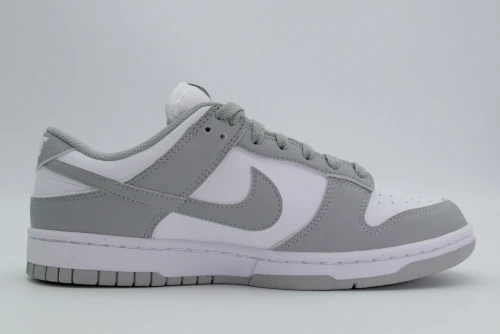 Nike Dunk Low Next Nature Sneakers (DD1873 113)