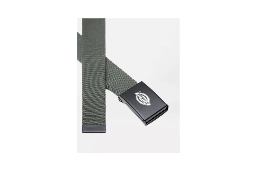 Dickies Orcutt Ζώνη Casual (DK0A4X7EOGX1)